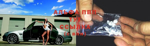 прущий лед Арсеньев